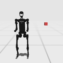 humanoidbench_loco scene